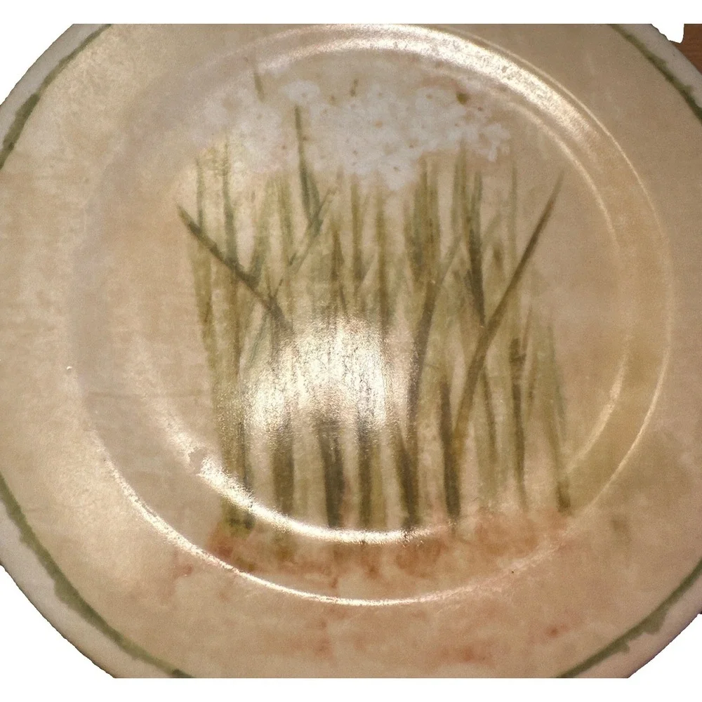 Cheri Blum 222 Fifth Narcissus Set Of 2 Salad Dessert‎ Plates Floral Design